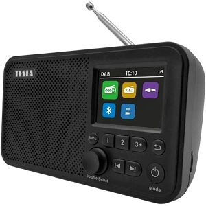 Rdio Tesla Sound DAB75