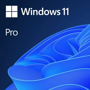 PC program Microsoft Windows 11 Pro