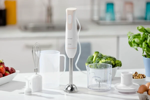 Recenze tyov mixr Zelmer ZHB4553S (2022)